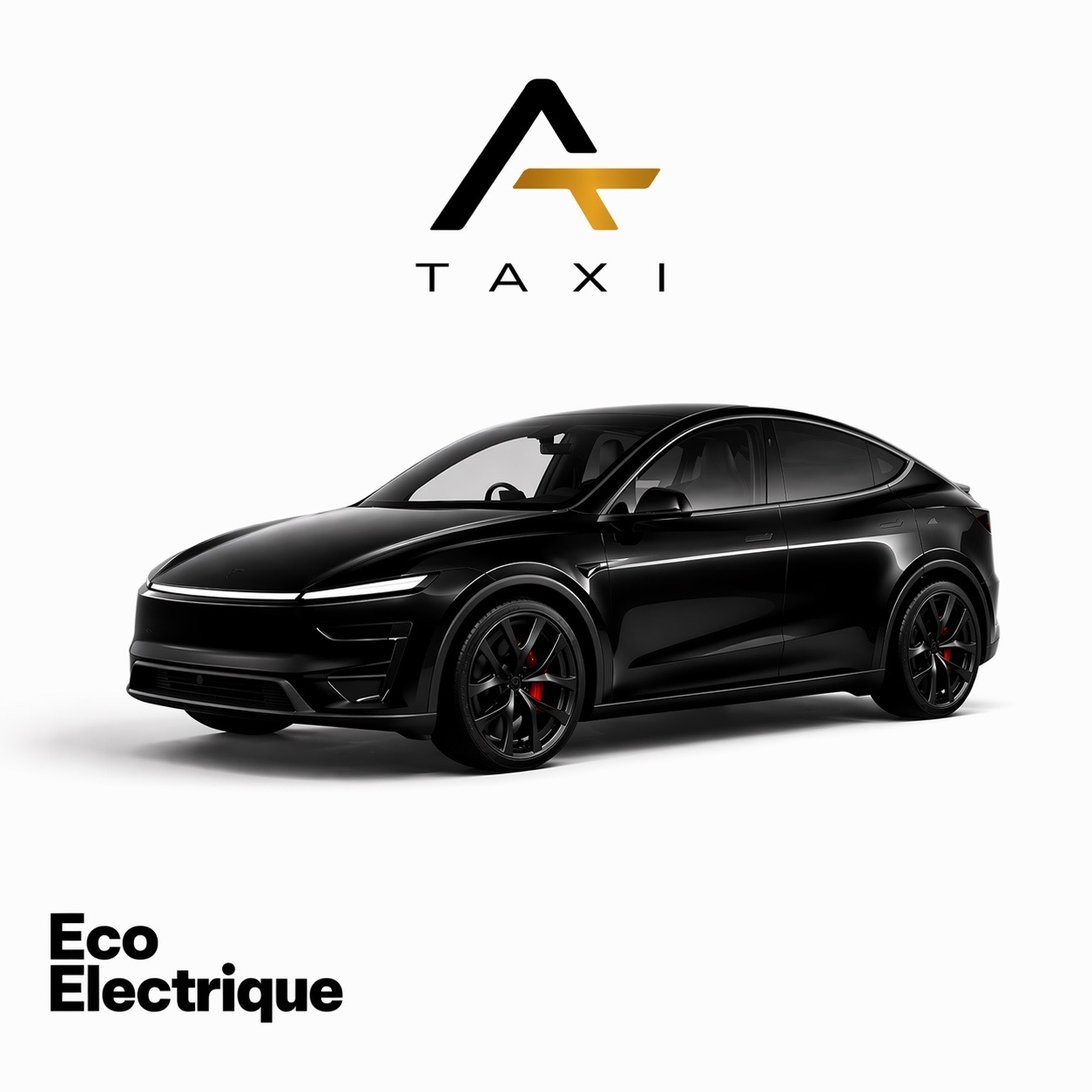 Tesla Model Y Eco Électrique